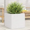 Pflanzkübel Weiß 50x50x46 cm Massivholz Kiefer Produktbild-Vorschau 2