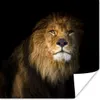 MuchoWow® Poster Löwe - Tier - Schwarz 50x50 cm - Produktbild-Vorschau 1