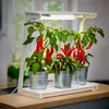 LED Pflanzenlampe Pflanzenleuchte Innengarten 14W 16h Timer Produktbild-Vorschau 3