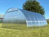 Gewächshaus GARTEN WIDE 4M 4x8 m mit 6 mm Polycarbonat, Produktbild-Vorschau 9