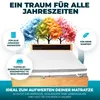 A mattress topper on a bed with decorative trees in the background and feature callouts. Produktbild-Vorschau