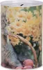 Clayre & Eef Spardosen Ø 10x15 cm Beige Metall Katze Produktbild-Vorschau 2