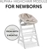 hauck 2in1 Babywippe & Neugeborenenaufsatz für Alpha+ & Produktbild-Vorschau 14