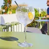 Juego de 6 vasos para Gin Tonic de la marca Chef & Vista previa de la imagen del producto 4