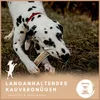 Supravit Gespaltenes Hirschgeweih L | 100% Rothirsch-Geweih Produktbild-Vorschau 3