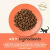 APPLAWS Kattenvoer, droogvoer voor volwassen katten, met Productafbeelding-voorbeeld 6
