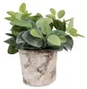 Vaso da fiori Clayre & Eef Ø 18x15 cm Beige Terracotta Anteprima dell’immagine prodotto 2