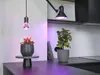A kitchen counter with plants being illuminated by grow lights. Anteprima dell’immagine prodotto