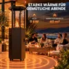 Meulbaty Gas-Terrassenheizer 5-11 kW mit Regler, Schlauch Produktbild-Vorschau 6