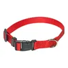 Premium Halsband Hundehalsband L Classic Red Regulierbare Produktbild-Vorschau 2