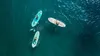 VirtuFit Supboard Ocean 275 – Sandbeige – Mit Zubehör und Produktbild-Vorschau 4