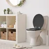 A bathroom scene with a toilet, shelving unit, and accessories. Produktbild-Vorschau
