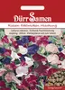 Riesen Edelwicke Mischung | Edelwickensamen von Dürr Samen Produktbild-Vorschau 3