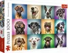 Trefl 10462, 1000 szt., Animals, 12 lat(a) Podgląd zdjęcia produktu 1