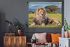 MuchoWow® Wandteppich Wandbehang Löwe - Savanne - Afrika Produktbild-Vorschau 5