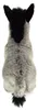 Plyšová hračka oslík Teddy Hermann 27 cm plyšový oslík Náhľad obrázku produktu 2