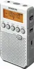 Sangean DT-800 +BATT biało-szary Podgląd zdjęcia produktu 3