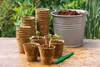 Romberg 26 Anzuchttöpfe Ø 6 cm biologisch Produktbild-Vorschau 5