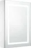 zrcadlová skříňka LED vidaXL 50x13x70 cm Náhled obrázku produktu 1