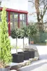 Geli Pflanztopf Kubus 50 x 50 x 42 cm anthrazit Produktbild-Vorschau 3