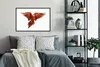MuchoWow® Gerahmtes Poster Ara - Vogel - Federn - Weiß Produktbild-Vorschau 2