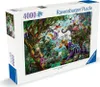 Die Drachen der Tropen Ravensburger 12000812 Produktbild-Vorschau 9