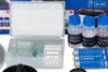 Bresser Optics JUNIOR - USB-Mikroskop - Schwarz - Silber - Produktbild-Vorschau 24
