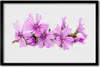 Bild 60x40 MDF-Rahmen Wandkunst Blumen Pflanzen Natur Produktbild-Vorschau 1