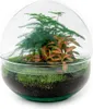 Flaschengarten Dome Glaskugel DIY-Pflanzenterrarium 20 cm Produktbild-Vorschau 3