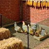 1m x 25m Grün Volierendraht Maschendrahtzaun Maschendraht Produktbild-Vorschau 11