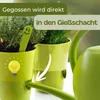 4er Set Kräutertopf mit Bewässerungssystem Kräutertopf Produktbild-Vorschau 8