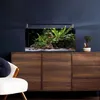 Dennerle Nano Tank Basic, 60 Liter - 60 x 35 x 30 cm - Nano Produktbild-Vorschau 4