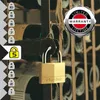 6x1 Master Lock Vorhängeschloss gleichschliessend 22mm Produktbild-Vorschau 6