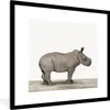 MuchoWow® Gerahmtes Poster Rhinozeros - Tiere - Jungen - Produktbild-Vorschau 1