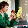 Kolekce zvířat – Papoušci ara Náhled obrázku produktu 16