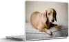 MuchoWow® Laptop Aufkleber Sticker Cover Ein brauner Dackel Produktbild-Vorschau 1