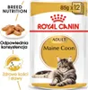 ROYAL CANIN FBN Maine Coon - Nassfutter für Katzen - Beutel Produktbild-Vorschau 9