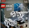 LEGO Ideas 21320 Skamieniałości dinozaurów Podgląd zdjęcia produktu 28