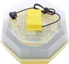 Elektryczna inkubator do jaj, Cleo, model 5 Podgląd zdjęcia produktu 2