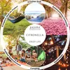 pajoma® Duftkerze "Citronella - Hello Summer" im Glas | ca. Produktbild-Vorschau 4