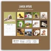 Lhasa Apsos - Lhasa Apso 2027 - 16-Monatskalender Produktbild-Vorschau 2