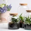 Aerarium avec bouchon en liège 5 l Voir les images du produit 5
