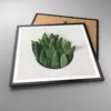 Gerahmtes Poster - Schwarzer Rahmen - Salbei Medizin Produktbild-Vorschau 3