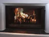 Favorit Scheibenreiniger für Kamin- und Ofenscheiben Inhalt Produktbild-Vorschau 7