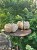 Holzkürbis Holzkürbis - d = 28 cm Produktbild-Vorschau 2