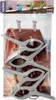 Strandtuchclips 4er Set 15x10 cm, starker Klemmmechanismus, Produktbild-Vorschau 5