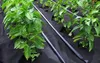 Domatex Gartenflies Unkrautvlies – Agrotextil- Agrovlies - Produktbild-Vorschau 7