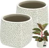 KOTARBAU® Bloempot, ongeglazuurd, matte afwerking, grijs, Productafbeelding-voorbeeld 1