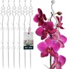 KOTARBAU® Lot de 6 supports de plantes Transparent PVC 55 Voir les images du produit 1