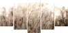 LUMASOUL Leinwand Bilder, Leinwandbild Natur Motiv, Produktbild-Vorschau 2